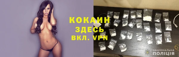 метамфетамин Ельня