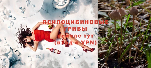 метамфетамин Елизово