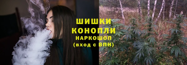 тгк Елабуга