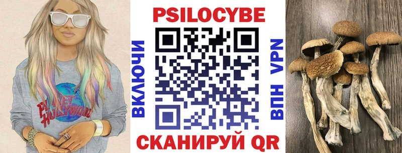 Псилоцибиновые грибы Psilocybe  кракен маркетплейс  Сухиничи 