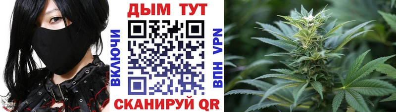 купить наркотик  Сухиничи  Бошки марихуана индика 